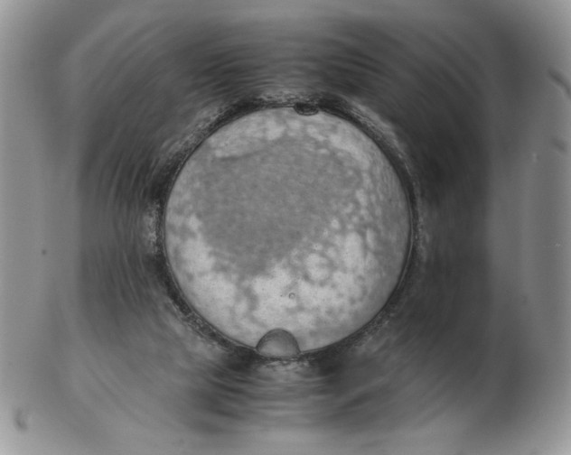 X0000103140065200809121803