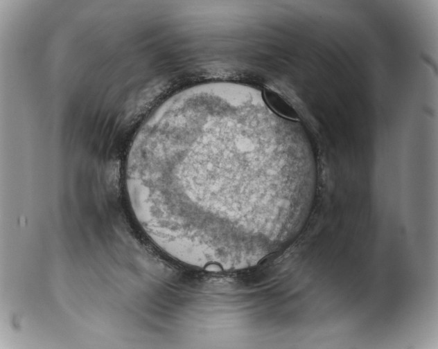 X0000103140066200809121803