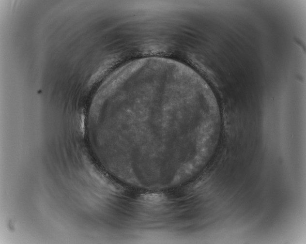 X0000103140067200809121803