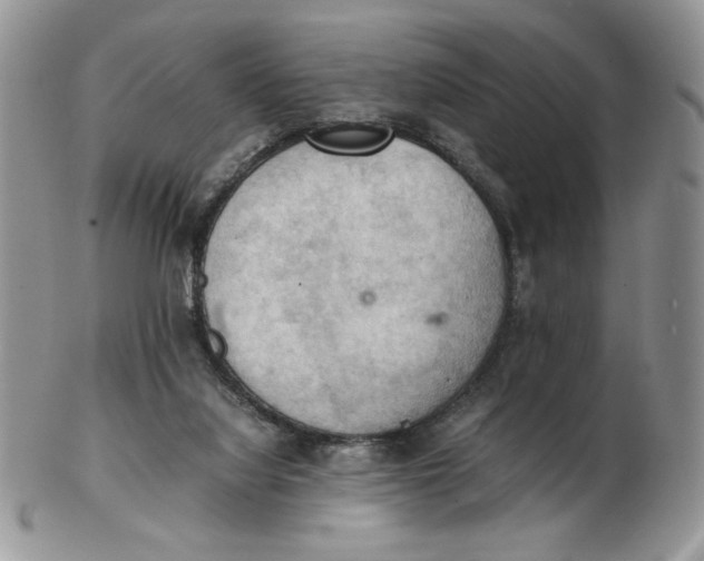 X0000103140068200809121803