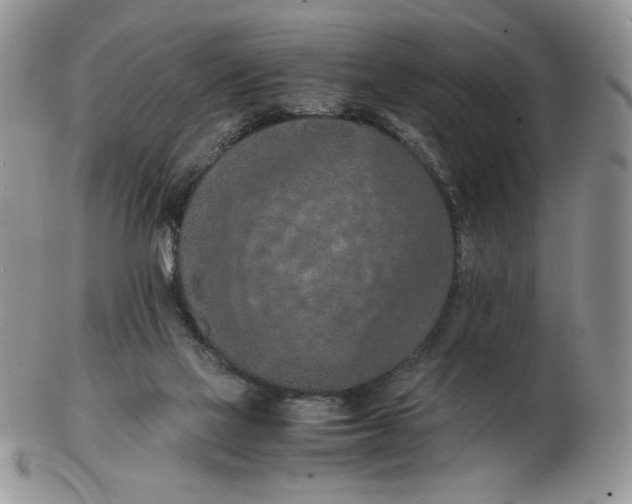 X0000103140069200809121803