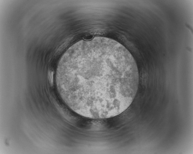 X0000103140070200809121803