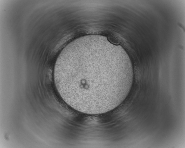 X0000103140071200809121803