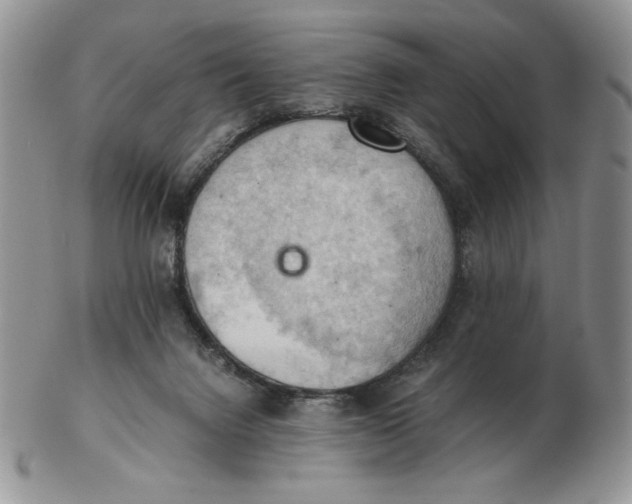 X0000103140072200809121803