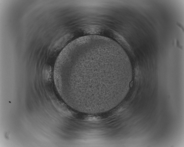 X0000103140073200809121803