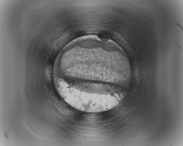 X0000103140074200809121803