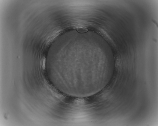 X0000103140076200809121803