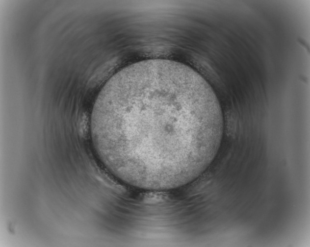 X0000103140077200809121803