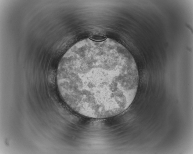 X0000103140078200809121803