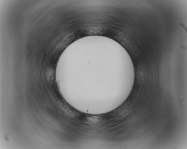 X0000103140079200809121803