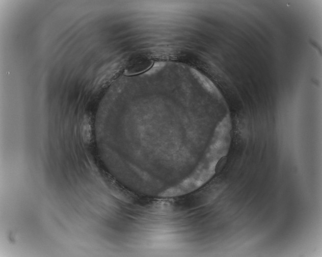 X0000103140080200809121803