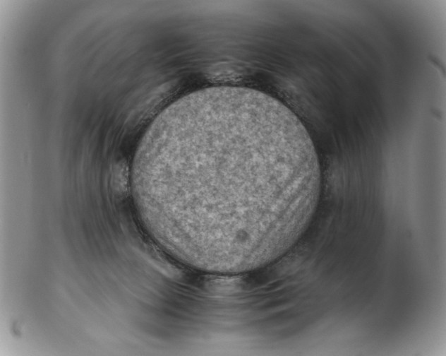 X0000103140081200809121803