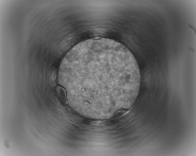 X0000103140082200809121803