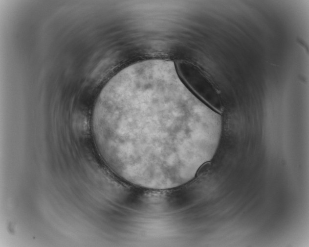 X0000103140084200809121803