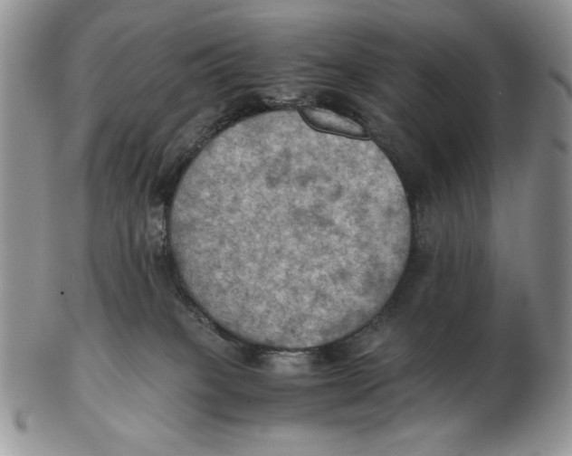 X0000103140085200809121803