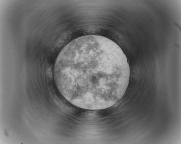 X0000103140086200809121803