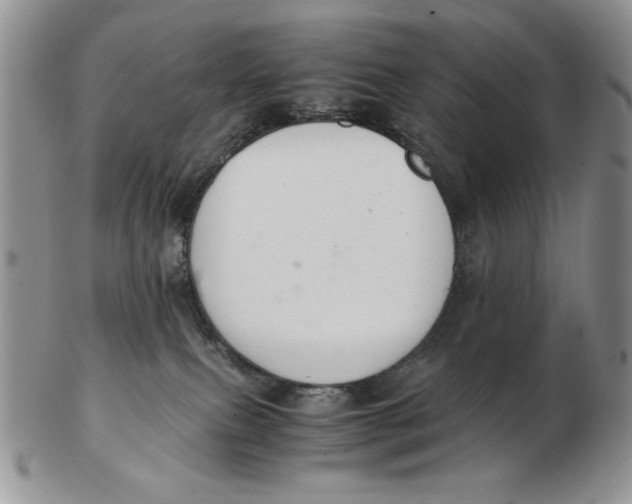 X0000103140087200809121803