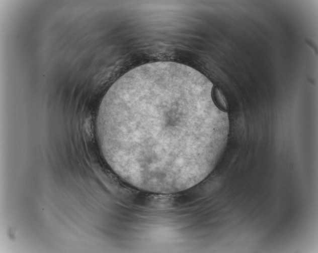 X0000103140088200809121803