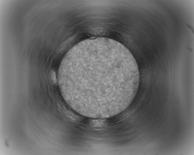 X0000103140089200809121803