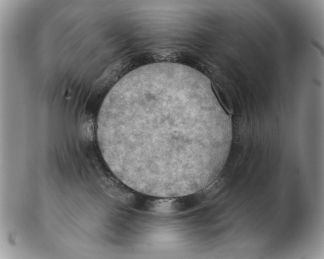 X0000103140090200809121803