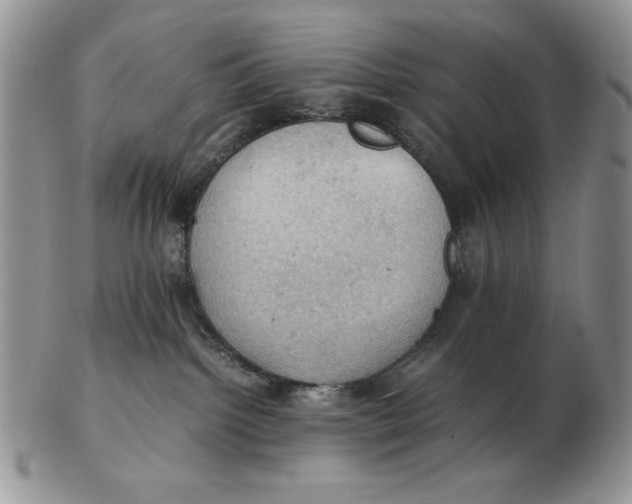 X0000103140092200809121803