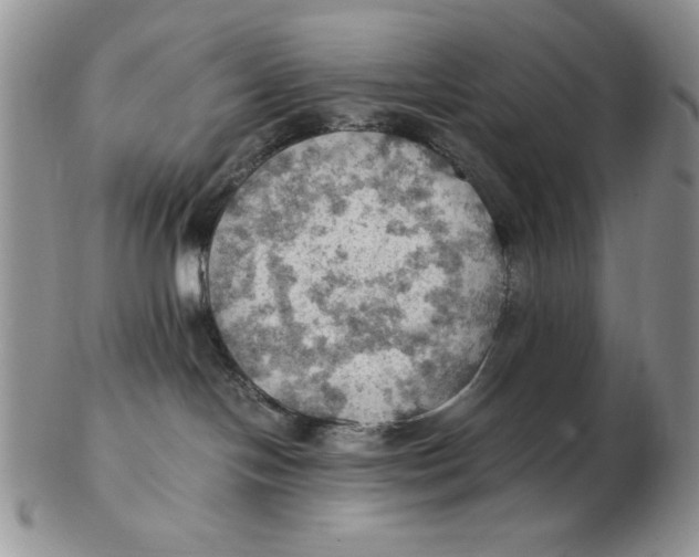 X0000103140094200809121803