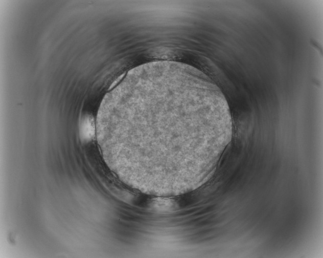 X0000103140095200809121803