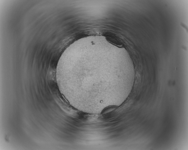 X0000103140096200809121803