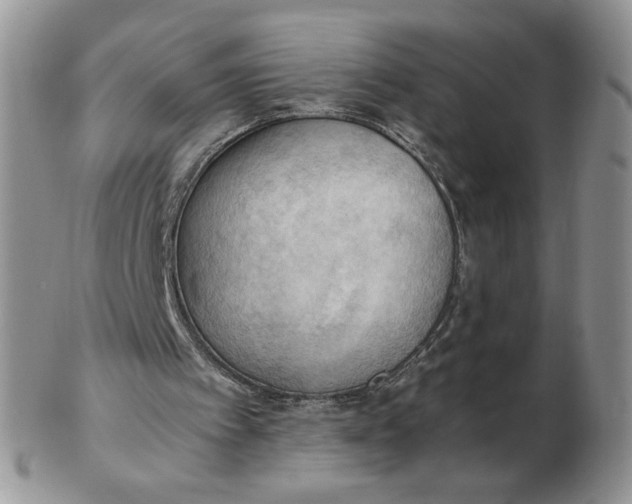 X0000103140097200809121803