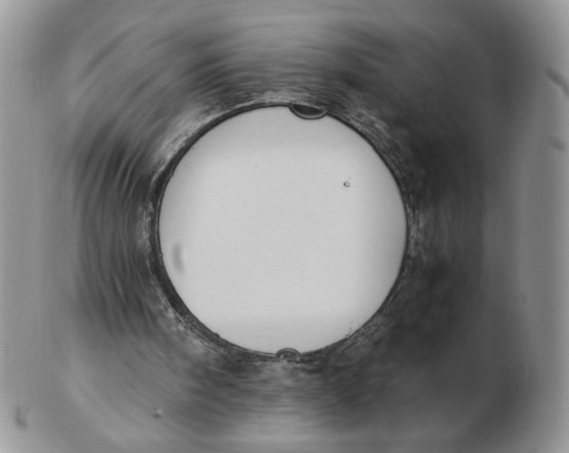 X0000103140098200809121803