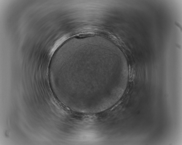 X0000103140099200809121803