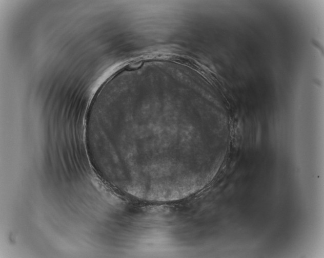 X0000103140100200809121803