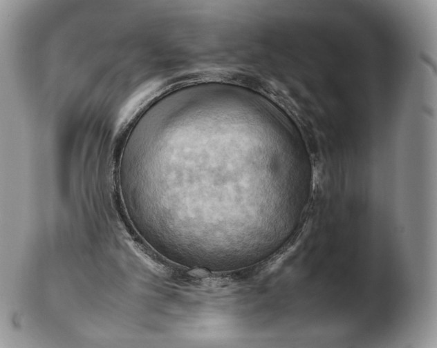 X0000103140101200809121803