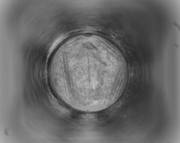 X0000103140102200809121803