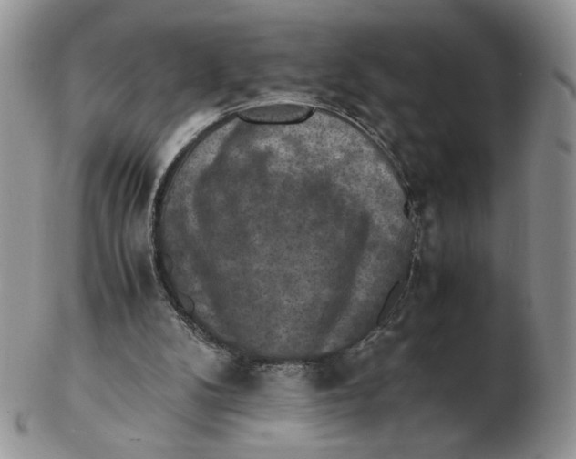 X0000103140104200809121802