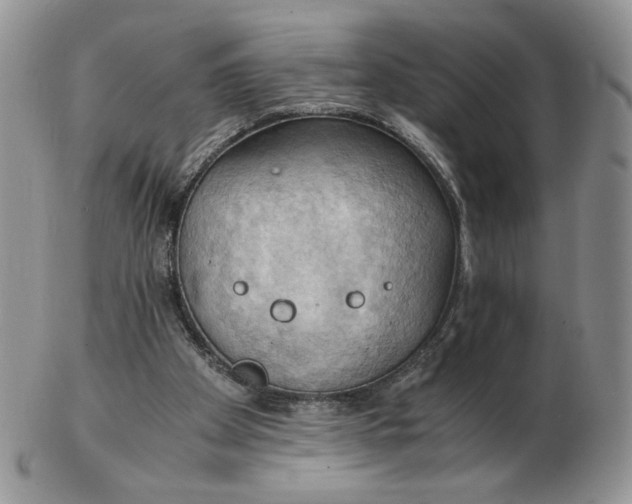 X0000103140105200809121802