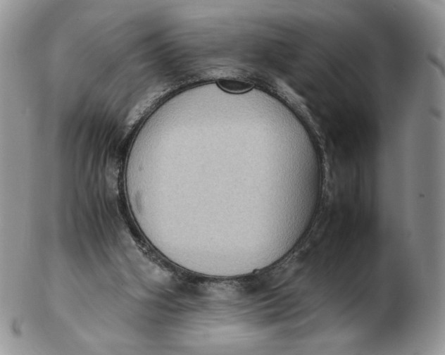 X0000103140106200809121802