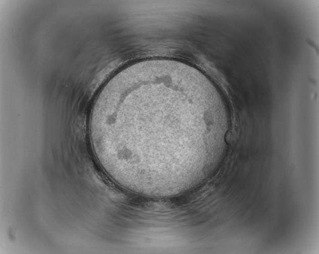 X0000103140107200809121802