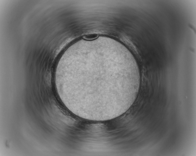 X0000103140108200809121802