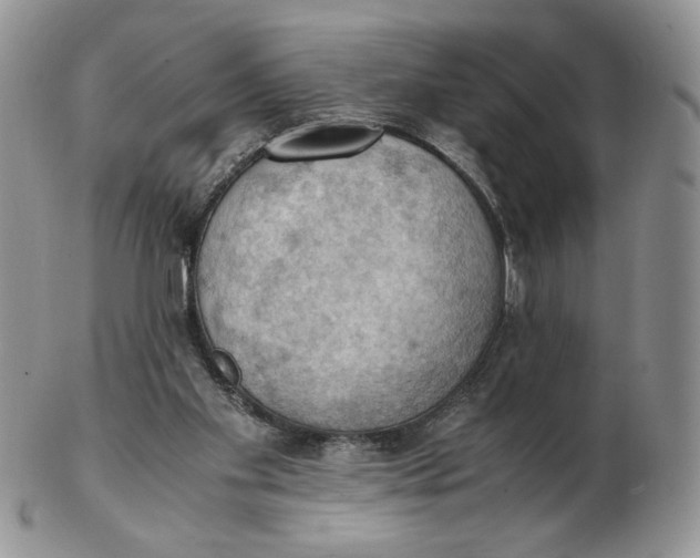 X0000103140109200809121802