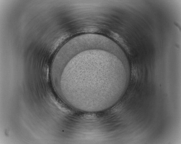 X0000103140110200809121802