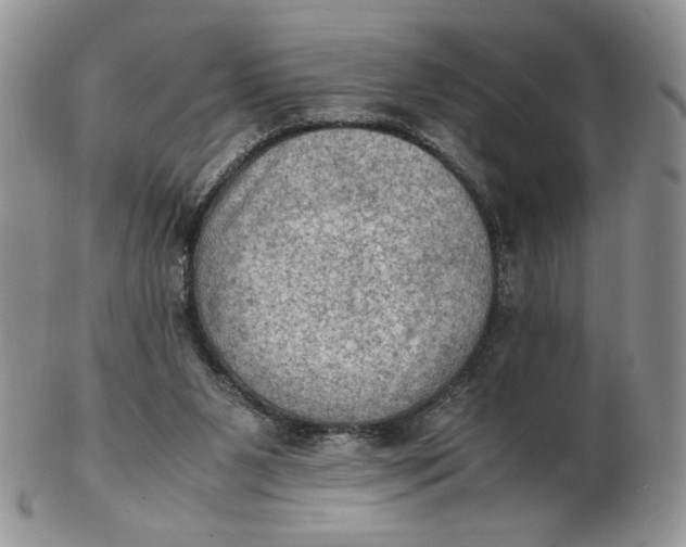 X0000103140111200809121802