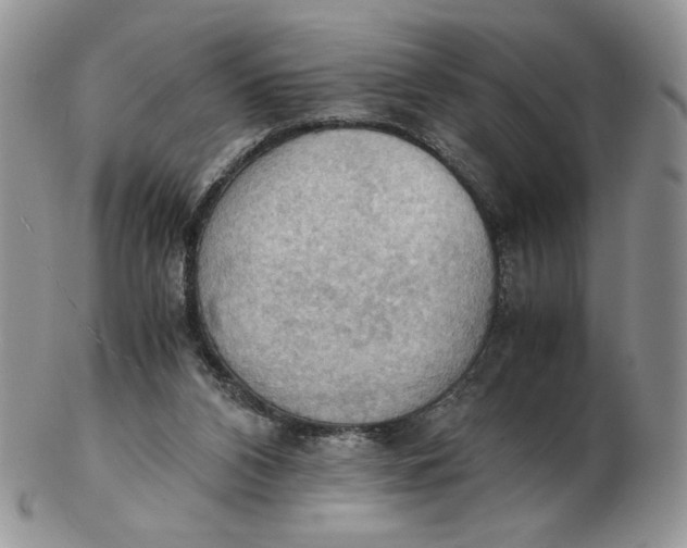 X0000103140112200809121802