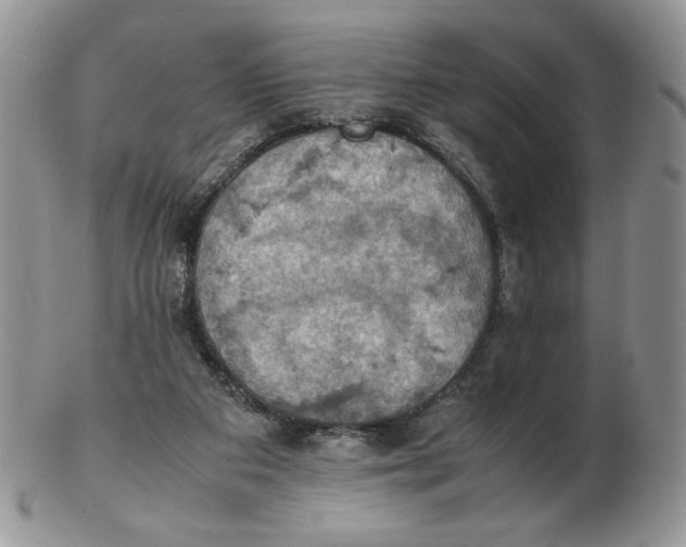 X0000103140113200809121802