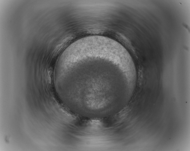 X0000103140114200809121802