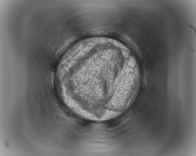 X0000103140115200809121802