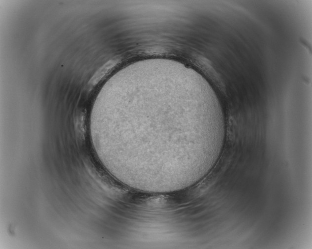 X0000103140116200809121802