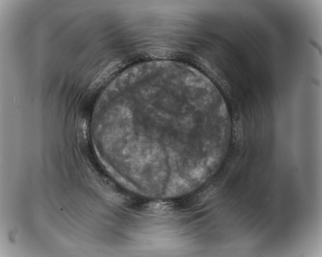 X0000103140117200809121802