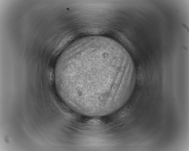 X0000103140119200809121802