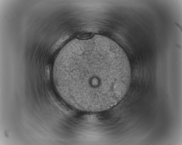 X0000103140120200809121802